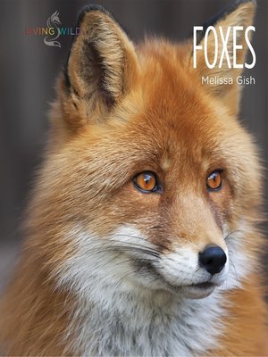 cover image of Foxes
